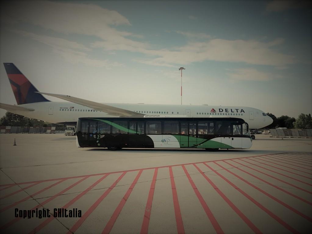 Bus_DL